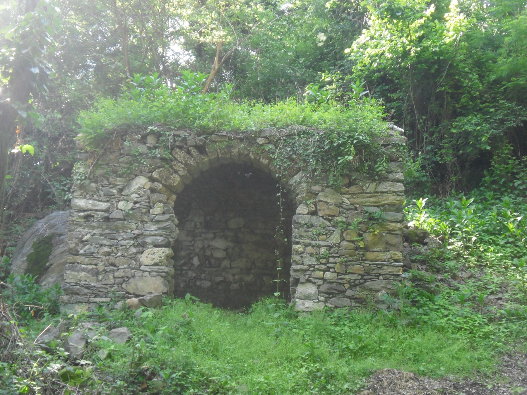 La cappella di San Rocco prima del restauro: un rudere in pietra con l'arco d'ingresso completamente invaso da edera e rovi, nascosto nel bosco